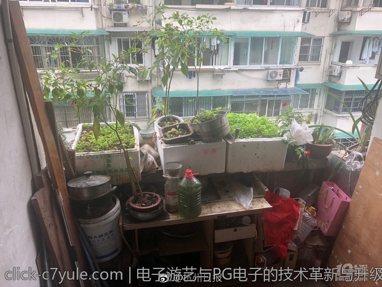 电子游艺与PG电子的技术革新与升级方案